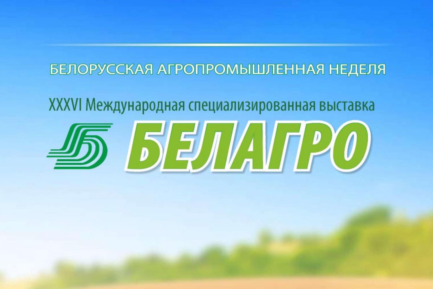 Ведущие вузы Беларуси на сельскохозяйственной выставке «Белагро-2026»